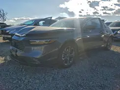 1HGCY2F61RA056566 2024 HONDA ACCORD
