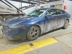 1HGCY2F61RA082231 2024 HONDA ACCORD
