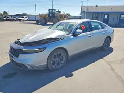 1HGCY2F62RA025925 2024 HONDA ACCORD
