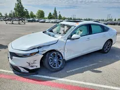 1HGCY2F62RA081623 2024 HONDA ACCORD