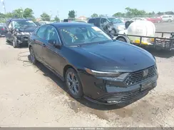 1HGCY2F63RA024556 2024 HONDA ACCORD