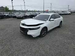 1HGCY2F64RA043116 2024 HONDA ACCORD