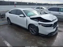 1HGCY2F64RA080487 2024 HONDA ACCORD