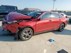 1HGCY2F65RA029032 2024 HONDA ACCORD