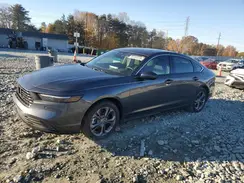 1HGCY2F66RA052593 2024 HONDA ACCORD