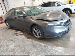 1HGCY2F66RA083388 2024 HONDA ACCORD