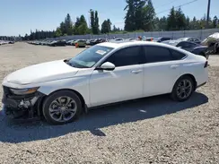 1HGCY2F68PA007443 2023 HONDA ACCORD