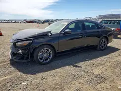 1HGCY2F68RA072151 2024 HONDA ACCORD