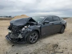 1HGCY2F6XRA034176 2024 HONDA ACCORD