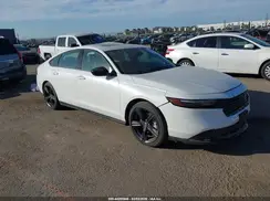 1HGCY2F73RA090355 2024 HONDA ACCORD
