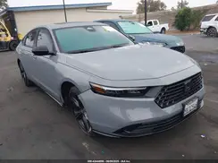 1HGCY2F79RA031116 2024 HONDA ACCORD