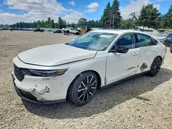 1HGCY2F81RA041311 2024 HONDA ACCORD