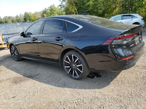 1HGCY2F81RA801351 2024 HONDA ACCORD - Image 2