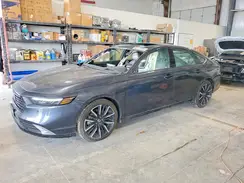 1HGCY2F81SA017127 2025 HONDA ACCORD