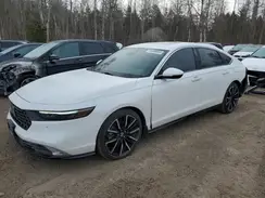 1HGCY2F83RA802484 2024 HONDA ACCORD