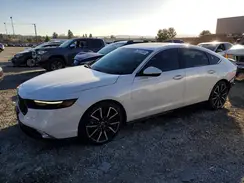 1HGCY2F84PA003150 2023 HONDA ACCORD
