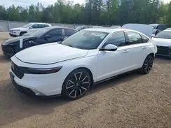 1HGCY2F84RA800548 2024 HONDA ACCORD