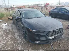 1HGCY2F85RA800431 2024 HONDA ACCORD