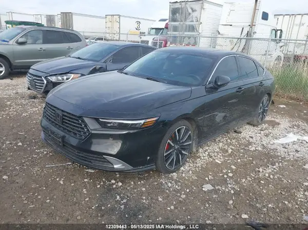 1HGCY2F85RA800431 2024 HONDA ACCORD - Image 2