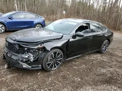 1HGCY2F85RA801904 2024 HONDA ACCORD