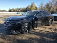 1HGCY2F85RA802101 2024 HONDA ACCORD