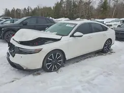 1HGCY2F85SA801598 2025 HONDA ACCORD