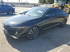 1HGCY2F86RA010166 2024 HONDA ACCORD