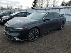 1HGCY2F86SA801982 2025 HONDA ACCORD
