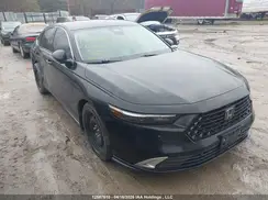 1HGCY2F87RA801791 2024 HONDA ACCORD