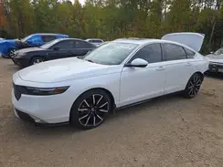 1HGCY2F87SA800484 2025 HONDA ACCORD