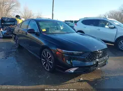 1HGCY2F89RA000229 2024 HONDA ACCORD