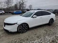 1HGCY2F89RA065629 2024 HONDA ACCORD