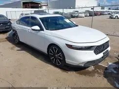 1HGCY2F8XPA036248 2023 HONDA ACCORD