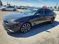 1HGCY2F8XRA000238 2024 HONDA ACCORD