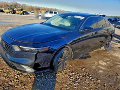 1HGCY2F8XRA033546 2024 HONDA ACCORD