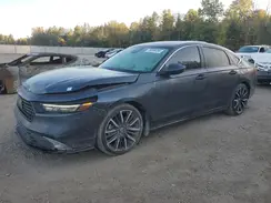 1HGCY2F8XRA800148 2024 HONDA ACCORD