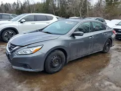 1N4AL3AP1GN339541 2016 NISSAN ALTIMA