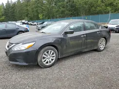 1N4AL3AP1GN374533 2016 NISSAN ALTIMA