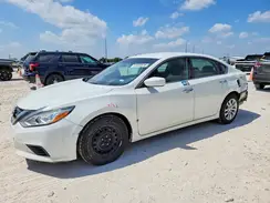 1N4AL3AP3HC166666 2017 NISSAN ALTIMA