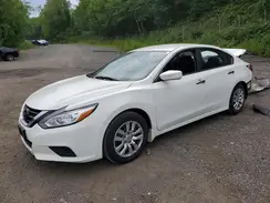 1N4AL3AP3HC250065 2017 NISSAN ALTIMA