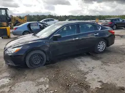 1N4AL3AP3HN350249 2017 NISSAN ALTIMA