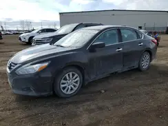 1N4AL3AP4GN310650 2016 NISSAN ALTIMA