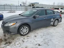 1N4AL3AP4GN317775 2016 NISSAN ALTIMA