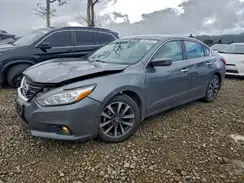 1N4AL3AP4HC123194 2017 NISSAN ALTIMA