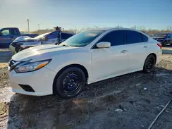 1N4AL3AP5GN320250 2016 NISSAN ALTIMA