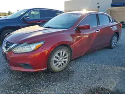 1N4AL3AP5GN376415 2016 NISSAN ALTIMA