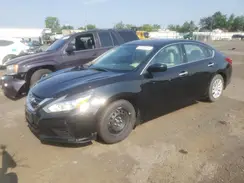 1N4AL3AP5HC151103 2017 NISSAN ALTIMA