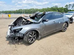 1N4AL3AP5HC490587 2017 NISSAN ALTIMA