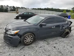 1N4AL3AP5HN333243 2017 NISSAN ALTIMA