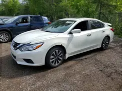 1N4AL3AP5HN339124 2017 NISSAN ALTIMA